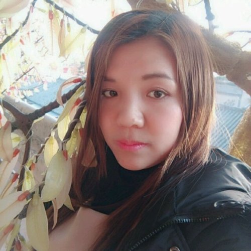 相片4